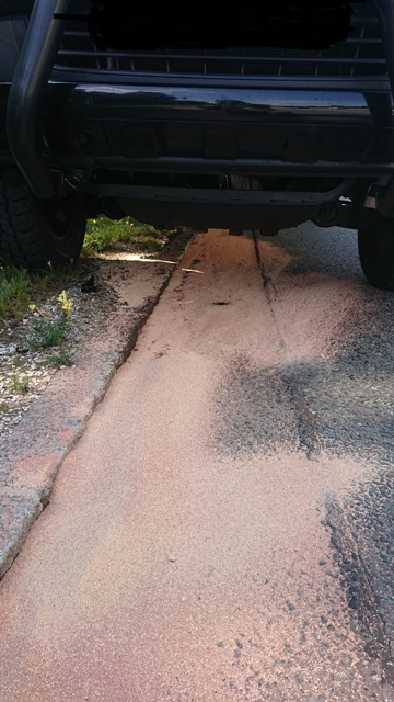 DSC_0254 bearbeitet groß.jpg